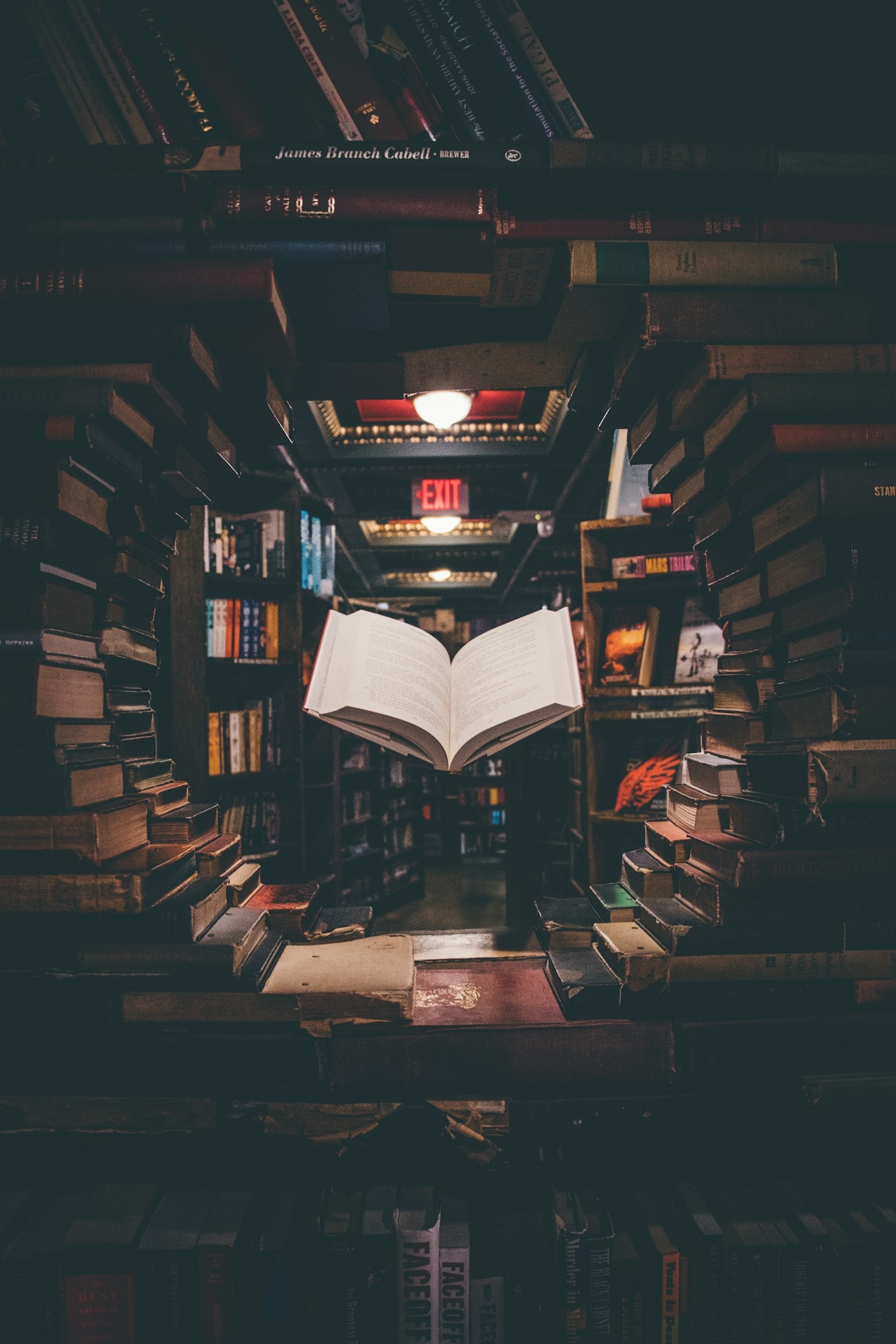 Filosofia e scienza: un dialogo per il progresso sostenibile
